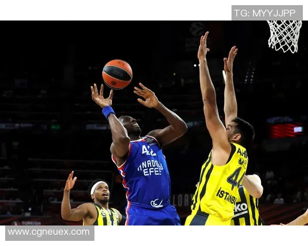 阿纳多卢艾菲斯与费内巴切的巅峰对决引发篮球迷热议